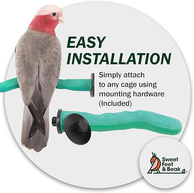 Sweet Feet & Beak Safety Pumice Bird Perch, X-Small 1/2" X 6", Purple - Lightweight Grinding Bird Perches for Cage - Bird Nail Trimming Perch for Healthy Beak & Feet - Multi-Size & Color Parrot Stand