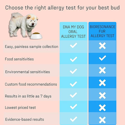 DNA MY DOG Vet-Recommended and Most Accurate Allergy Test for Itchy, Sensitive Dogs | Cheek Swab – The Gold Standard of Testing | Tests for All Common Food & Environmental Allergens | Custom Report