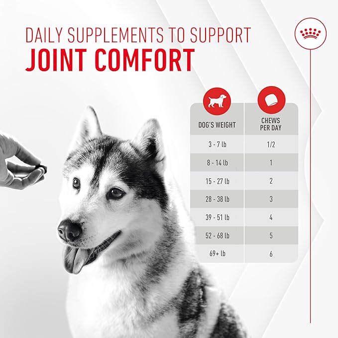 Royal Canin Joint Dog Supplement Soft Chews for Adult Dogs, 60 Count (Pack of 3)