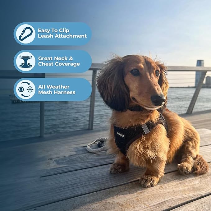 Voyager Step-in Air All Weather Mesh Harness and Reflective Dog 5 ft Leash Combo with Neoprene Handle, for Small, Medium and Large Breed Puppies by Best Pet Supplies - Set (Black), S