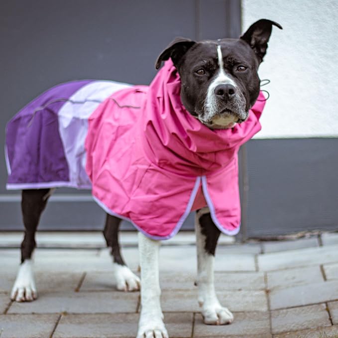 Spark Paws Dog Raincoat, Waterproof Windproof Rain Jacket, for Small Medium Large Extra Large Dogs, Reflective Breathable Full-Body Coverage Dry Suit - Pink Lilac Purple - M