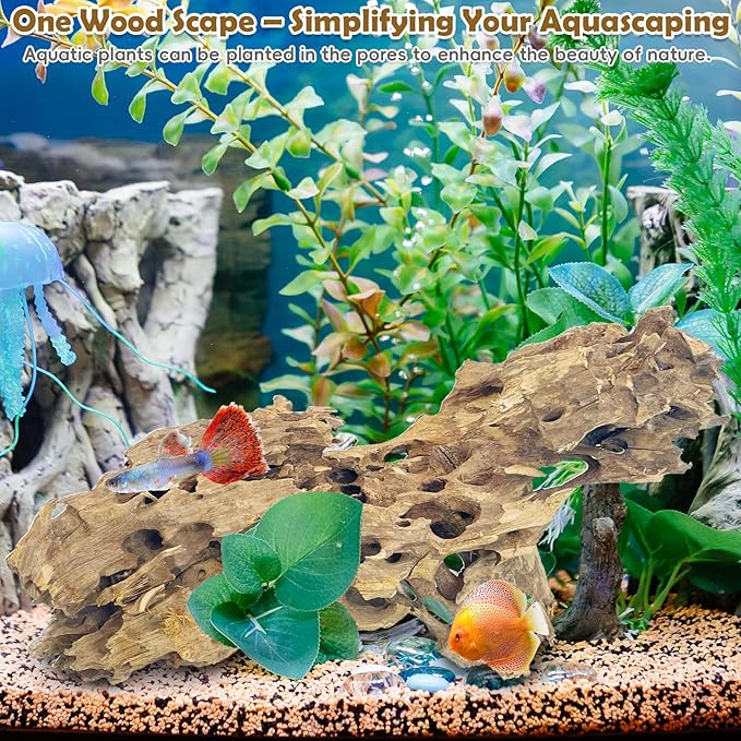 PINVNBY Natural Driftwood for Aquarium Large Reptile Terrarium Decor Decorations Assorted Branches Dearded Dragon Tank Accessories (7-11.5 inches/2 Pack)