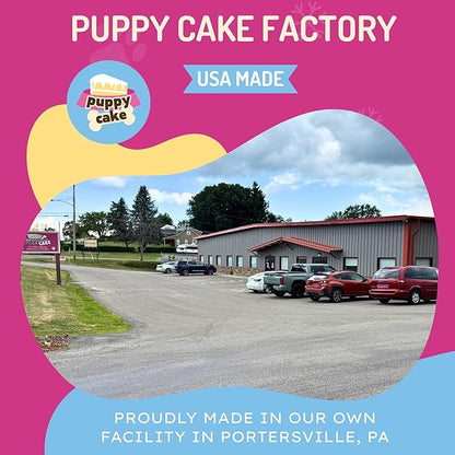 Dog Birthday Cake Kit 6 Flavors - Cake Mix for Dogs, Icing Mix, Large Bone Shape Silicone Pan and 24 Candles, Bake or Microwave By Puppy Cake Mix (Swirl, Pumpkin)