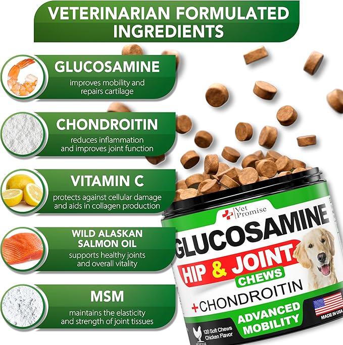 (2 Pack) Glucosamine for Dogs - Hip and Joint Supplement for Dogs - Glucosamine Chondroitin - Joint Pain Relief Pills - MSM - Hemp Oil - Advanced Health Support Supplement - 240 Mobility Chews