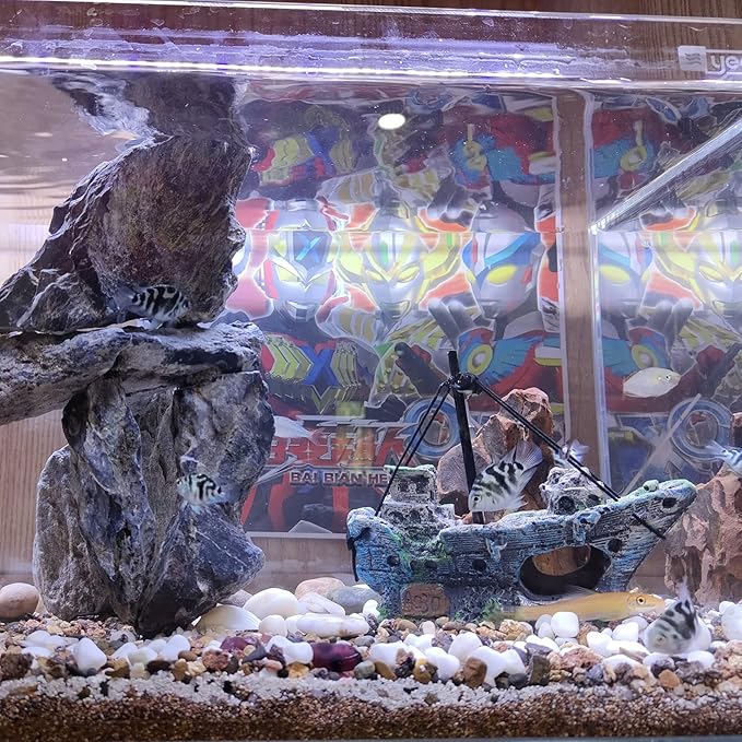 AWXZOM Aquarium Shipwreck Decoration + Little Diver Floating Fish Tank Decoration, Fish Tank Ornaments