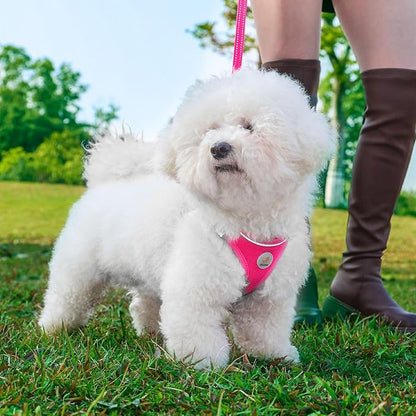 Hipubby Dog Harness and Leash Set, No Pull Soft Mesh Puppy Harness for Small Medium Dogs, Cats - Step in Reflective Breathable Lightweight Vest Harness for Walking, Training - Rose Red, S
