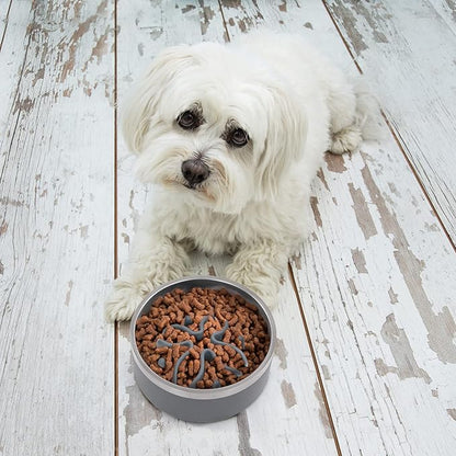 Jaoul Slow Feeder Dog Bowls Insert, Puzzle Slow Feeder Insert with 21 Octopus Suction Cups for Small Breed Dog Food Bowls (4 inch, Grey)