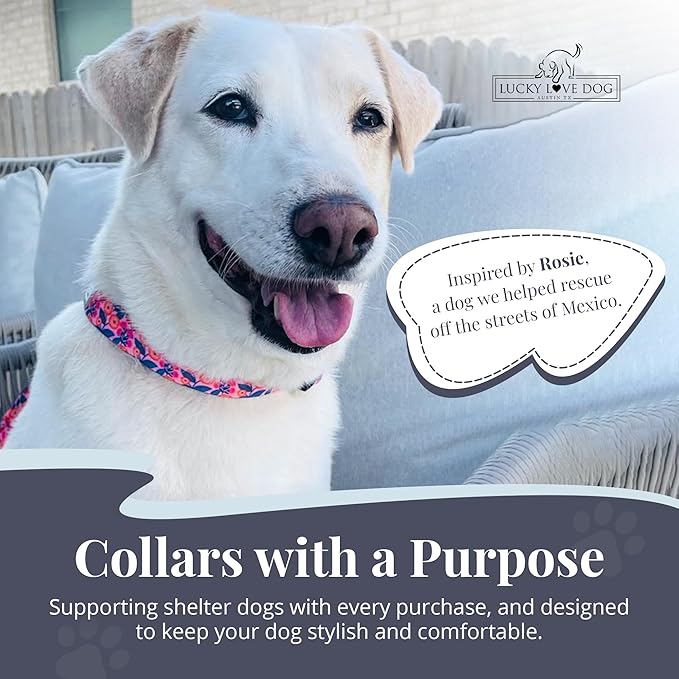 Lucky Love Dog - Easy Click Buckle Dog Collar with Leash Set Combo, Durable & Comfortable for Male & Female Dogs, Pet Collar for Small to Large Dogs, Secure Fit - Floral Rosie Combo, Small