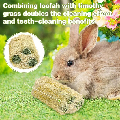 BNOSDM Bunny Chew Toys Natural Loofah 4PCS Bunny Teeth Grinding Toy Rabbit Fiber-Rich Treats Pet Entertainment Accessories for Rabbits Chinchillas Guinea Pig（XL）