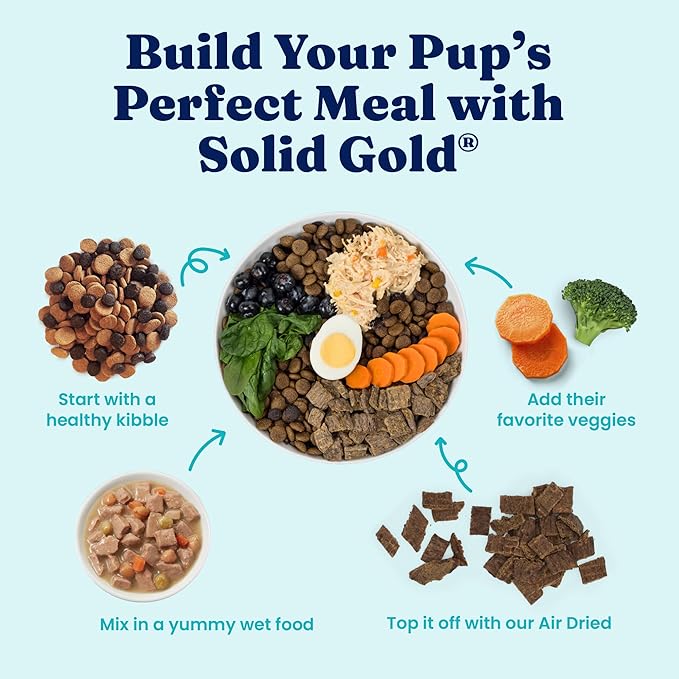 Solid Gold Wet Dog Food for Small Dogs - Grain Free Small Dog Food Wet Recipe w/Chicken, Superfoods & Vitamins for Gut Health & Immune Support - for Puppies, Adult & Senior Breeds - 12ct 3.5oz Cups