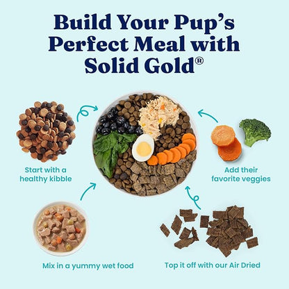 Solid Gold Wet Dog Food for Small Dogs - Grain Free Small Dog Food Wet Recipe w/Chicken, Lamb & Superfoods for Gut Health & Immune Support - for Puppies, Adult & Senior Breeds - 12ct Variety Pack