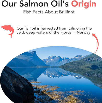 Salmon Oil for Dogs - Healthy Skin & Coat, Natural Norwegian Omega 3 Fish Oil Food Supplement, EPA & DHA Fatty Acids, Ideal for Shedding, Allergy, Itching, Dry Skin, Joint & Bone Health - (2 x 16.9oz)