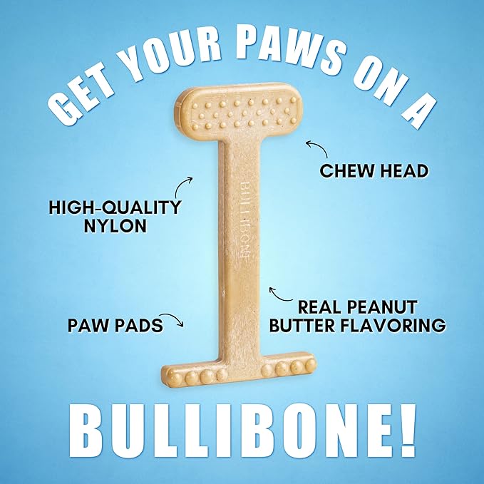 Bullibone Nylon Dog Chew Toy Nylon Bone - Improves Dental Hygiene, Easy to Grip Bottom, and Permeated with Flavor (Peanut Butter, XL - 2 Pack)