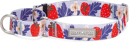 Lucky Love Dog Martingale Collar, Premium Fun Girl No Slip Collars, Strawberry Martingale Small Dog Collar, Great for Whippets, Greyhounds, and More (Sweet Berry, Small)