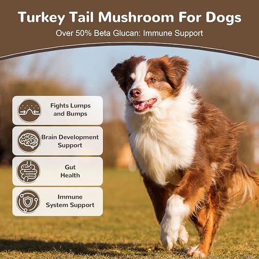 Turkey Tail Mushroom for Dogs, Organic 10 Mushroom Blend for Lipoma Lumps and Bumps, Probiotic Mushroom Powder with 50% β-Glucan for Dogs & Cats, Joint Gut Immune Skin Support-30 Day Supply