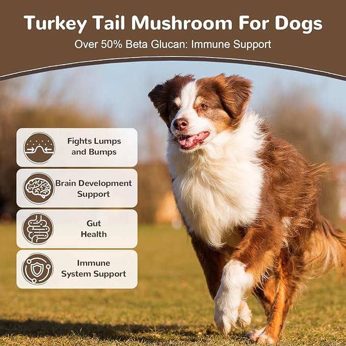 Turkey Tail Mushroom Powder for Dogs, Organic 10 Mushroom Blend for Lumps and Bumps, Dog Herbal Supplements Probiotic with 50% β-Glucan, Joint Gut Immune Skin Support-45 Day Supply