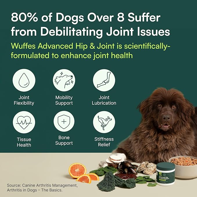 Wuffes Advanced Dog Hip and Joint Supplement with Glucosamine, Chondroitin, Omega 3, MSM, and Green Lipped Mussel, 30 Pork Flavored Chews for Large Dog Breeds