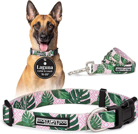 Lucky Love Dog, Tropical Matching Dog Collar & Leash Set, Soft & Comfy, Vivid Pink Color Collar and Leash for Female Male Dogs - (Large, Laguna Combo)