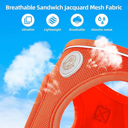 Soft Mesh Dog Harness and Leash Set, No Pull Puppy Harness and Leash Set, Reflective Step in Harness for Small Medium Dogs, Easy Walk Escape Proof Vest Harnesses (Orange, M)