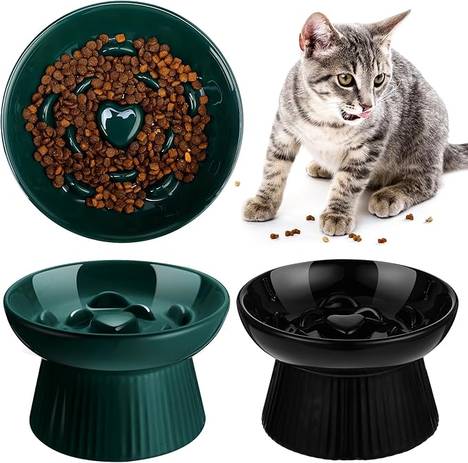 Tioncy 2 Pcs Raised Cat Slow Feeder Bowl Ceramic Elevated Cat Dog Food Bowl No Spill High Edge for Dry Wet Food and Water Easy to Clean, Dishwasher Safe(Dark Green, Black)