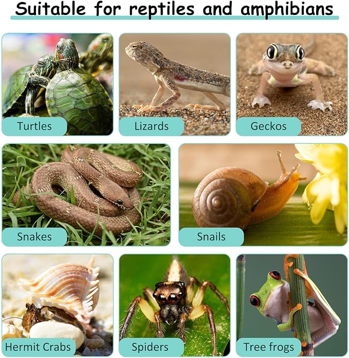 VCEPJH Loose Coconut Fiber Substrate 3 Pack Natural Coco Coir Reptile Bedding Tortoise Substrate Soil Habitat Accessories for Tarantula Snake Bearded Dragon Spiders Hermit Crabs