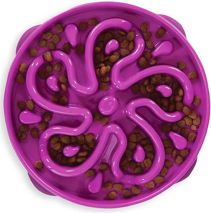 Outward Hound Large Slow Feeder Bowl, Puzzle Maze for Fast Eaters, Medium to Large Dogs, Helps Prevent Bloat & Aid Digestion, Holds 4 Cups Wet or Dry Food, Non-Slip, Made Without BPA, Purple