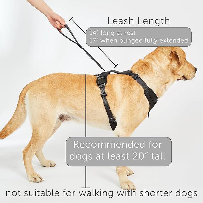 TUG Grab Dog Harness | Integrated Traffic Leash Magnetically Attached for Quick Control (Small/Green)