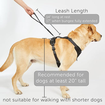 TUG Grab Dog Harness | Integrated Traffic Leash Magnetically Attached for Quick Control (Small/Green)