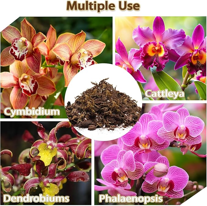 Orchid Potting Mix, Premium Orchid Soil for Repotting with Natural Pine Bark, Perlite, Coco Peat and Moss, Well-Draining Orchid Mix for Indoor Plant, Orchid, Succulents - 4QT