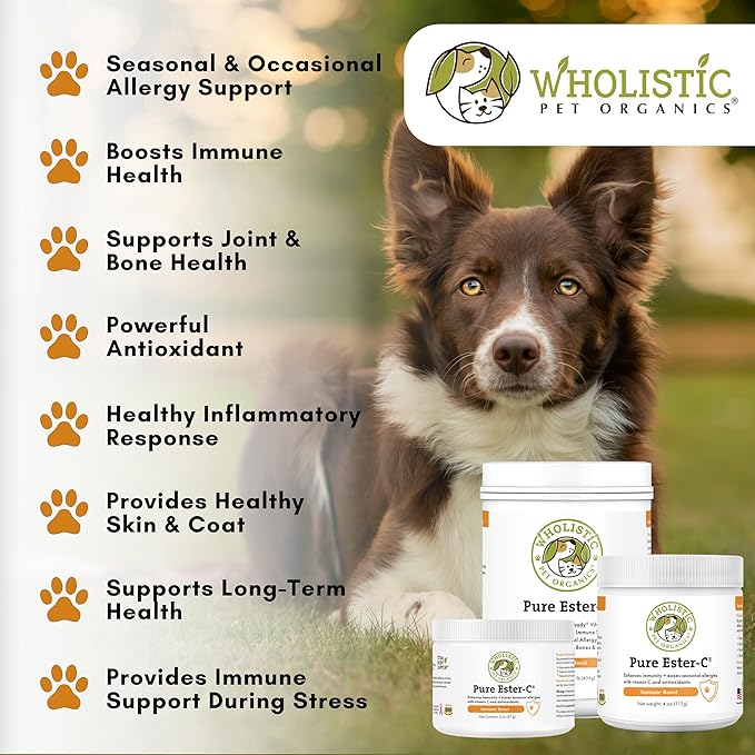 Wholistic Pet Organics Pure Ester-C Powder for Dogs - 4 Oz - Healthy Alternative to Dog Allergy Chews - Vitamin C Supplement for Dog Allergy Relief, Immune Support, Itch Relief for Dogs - Made in USA