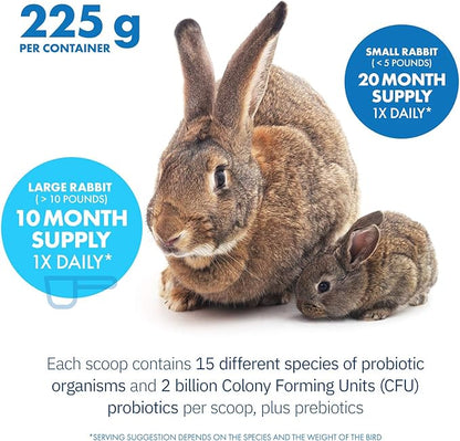 Equa Holistics HealthyGut™ Probiotics for Rabbits Dietary Supplement, All-Natural Digestive System Formula (600 Servings)
