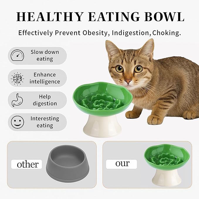 Ceramic Slow Feeder Bowl for Cats and Small Dogs, Elevated Tilted Pet Food Dish, Whisker Friendly Anti-Vomit Design, Heavy Stable Base, Dishwasher Safe， 5 Colors Options (Leaf Green)