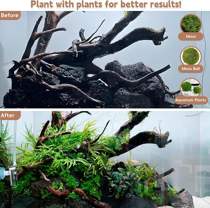 PINVNBY Natural Driftwood for Aquarium Decor Fish Tank Decorations Reptile Decor Driftwood Decor, 3 Pieces 7"-11" Assorted Driftwood Branch