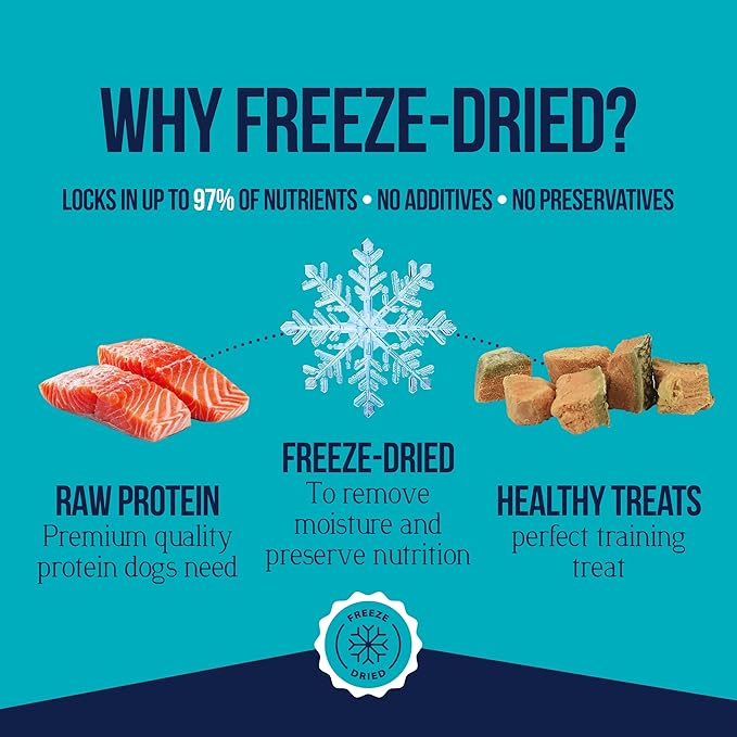 Stewart Wild Salmon Dog Treats, 2.75 oz, ~55 Pieces, Freeze Dried Raw, Single Ingredient, 65% Protein Training Treats or Meal Topper in a Resealable Tub, Grain Free, Gluten Free