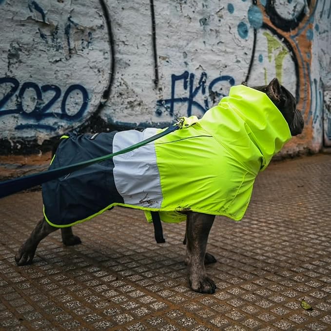 Spark Paws Dog Raincoat, Waterproof Windproof Rain Jacket, for Small Medium Large Extra Large Dogs, Reflective Breathable Full-Body Coverage Dry Suit - Neon White Navy Blue, XL