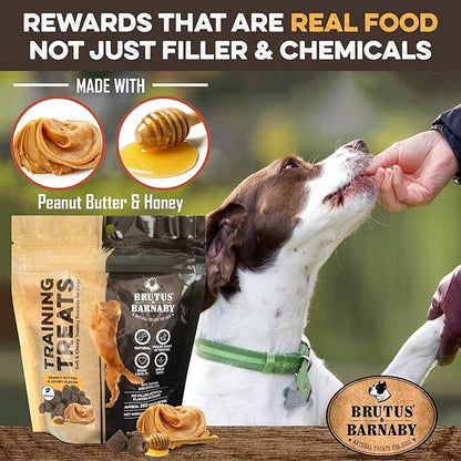 BRUTUS & BARNABY Training Treats for Dogs - Peanut Butter & Honey - All-Natural Healthy Low Calorie Vegetarian Treat - Great to Use for Rewards in Training Your Puppy Or Dog