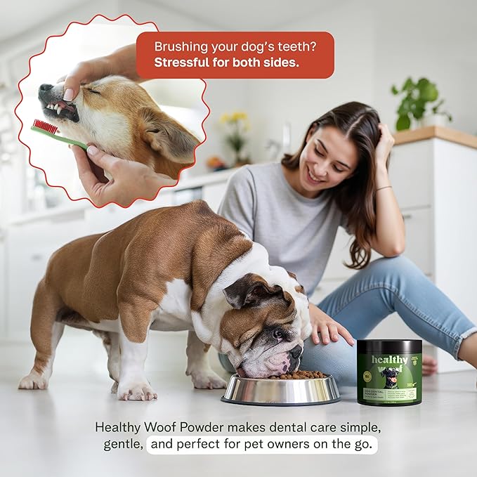 Dog Dental Powder with Icelandic Kelp, Enzymes & Green Tea – Dog Breath Powder & Tartar Remover – Dental Cleaning for Dogs – 8.5 oz (120 Servings)