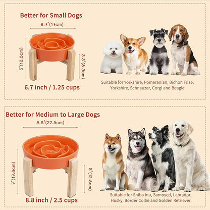 Elevated Slow Feeder Dog Bowl - Puzzle Maze Dish with Bamboo Stand - Raised Ceramic Food Bowl for Medium and Large Dogs - 8.8 Inch - Orange