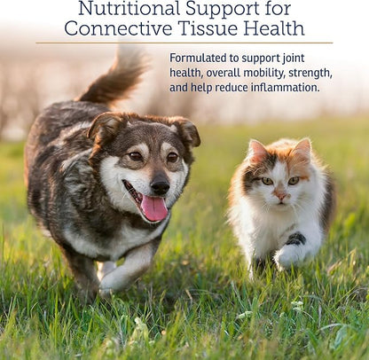 Rx Vitamins NutriFlex for Cats & Dogs - Glucosamine for Dogs Hip and Joint Supplement - with Bovine Collagen and Chondroitin - Joint Pain Relief & Anti Inflammatory - Beef Liver (90 Chews)