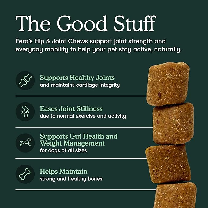 Fera Pets Hip & Joint Supplement for Dogs with Glucosamine, MSM, Chondroitin, & Green Lipped Mussel - Supports Healthy Joints and Weight Management - 10 Soft Chews