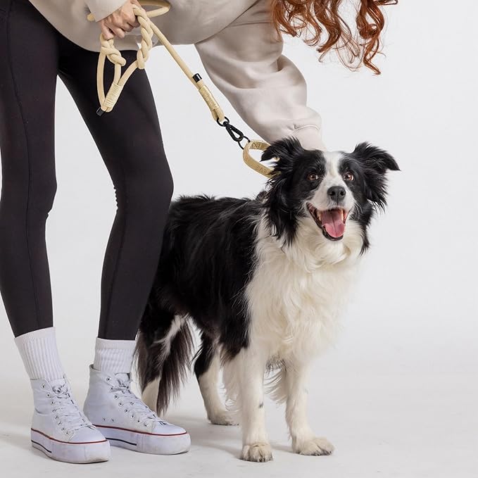 2025 New Edition, Fei & Eve Hand-Braided Dog Leash, 4FT | SP Cotton Material | Heavy Duty Training | Comfort Grip Handle for Small/Medium/Large Dogs, Champagne