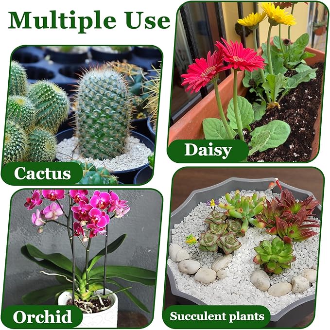 Organic Horticultural Perlite,Natural Perlite Improved Drainage, Ventilation & Root Growth,Perlite Conditioner Potting Mix for Orchids,Succulents,Indoor & Outdoor Plant and Gardening-1QT
