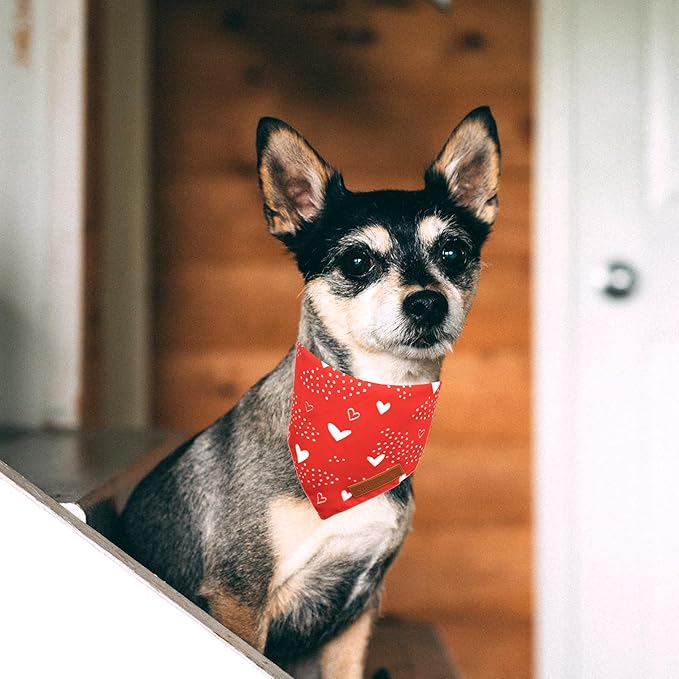 Realeaf Valentine's Day Dog Bandanas 2 Pack, Reversible Red Plaid Heart Dog Scarf for Boy and Girl, Premium Durable Fabric, Holiday Love Bandana for Large and Extra Large Dogs Pets (Large)