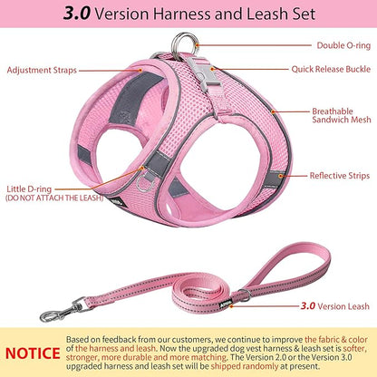 AIITLE Comfortable Dog Harness and Leash Set for Walking - Summer Step in Vest Harness,Reflective Bands, Adjustable No Pull Puppy Essentials, for Small Dogs and House Cats Pure Pink XS