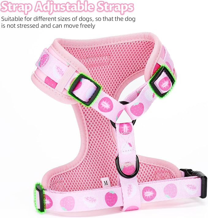 Dog Harness and Leash Set, Adjustable Dog Harness, Dog Leash, No Pull No Choke Puppy Harnesses for Walking Training for Small Medium Pet (Strawberries, XS(Chest 9.9-13.5", Neck 7.8-10.2"))