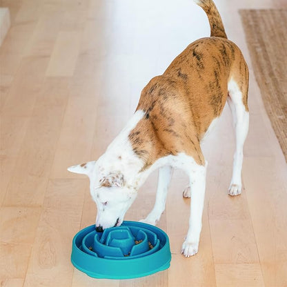 Outward Hound Large Slow Feeder Bowl, Puzzle Maze for Fast Eaters, Medium to Large Dogs, Helps Prevent Bloat & Aid Digestion, Holds 4 Cups Wet or Dry Food, Non-Slip, Made Without BPA, Turquoise