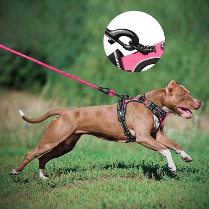 PoyPet Dog Harness and Leash Combo, Escape Proof No Pull Vest Harness, with 5 Feet Leash, Reflective Adjustable Soft Padded Pet Harness with Handle for Small to Large Dogs(Pink,L)