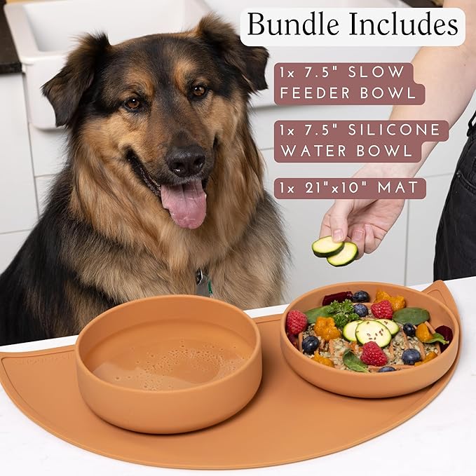 Should We Go? Complete Pet Feeding Set: Slow Feeder & Water Bowl with Spill-Proof Silicone Mat - Ideal for Small to Medium Dogs, Non-Slip, Easy Clean, Raised Edges, Durable Silicone - Blush