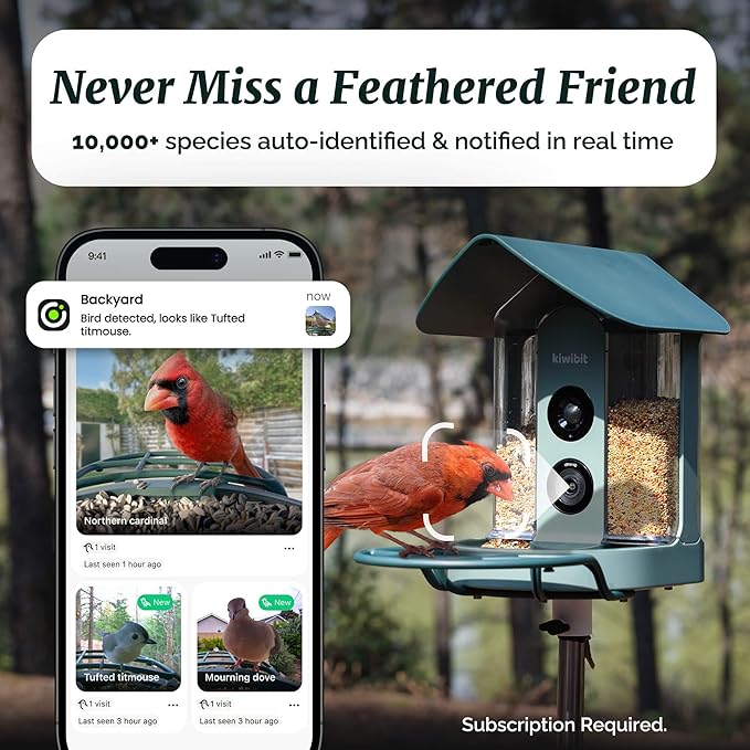 Beako™ Smart Bird Feeder with 4K Camera Solar Powered for Outdoors - UHD Live Stream for Birdwatching, AI Identification 10,000+ Bird Species, Real-Time Motion Detection, Bluejay Sky