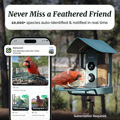 Beako™ Smart Bird Feeder with 4K Camera Solar Powered for Outdoors - UHD Live Stream for Birdwatching, AI Identification 10,000+ Bird Species, Real-Time Motion Detection, Bluejay Sky